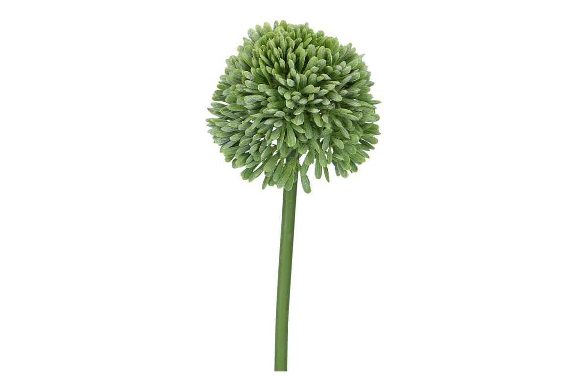 Allium 44cm, grün, 1 Stück