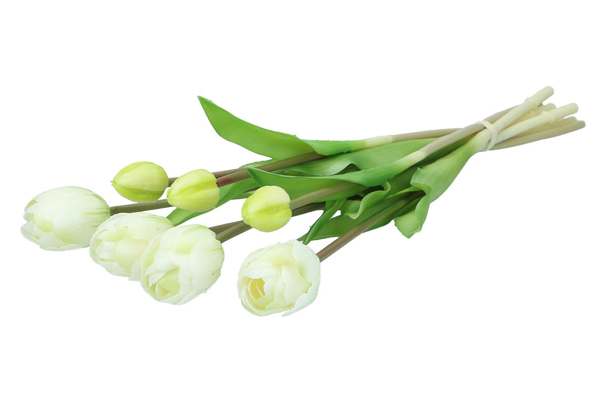 Tulpenbund 44cm, 1 Bund = 7 Tulpen