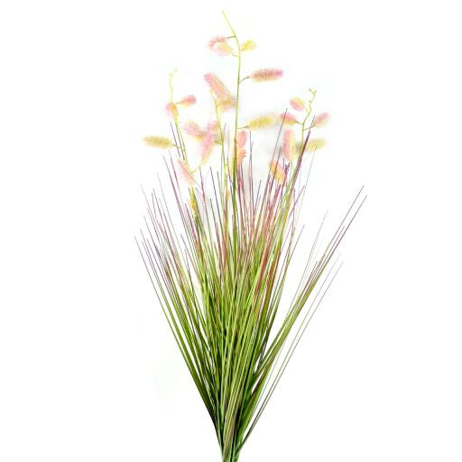 Cattailgras Busch L 79cm, 1 Stück
