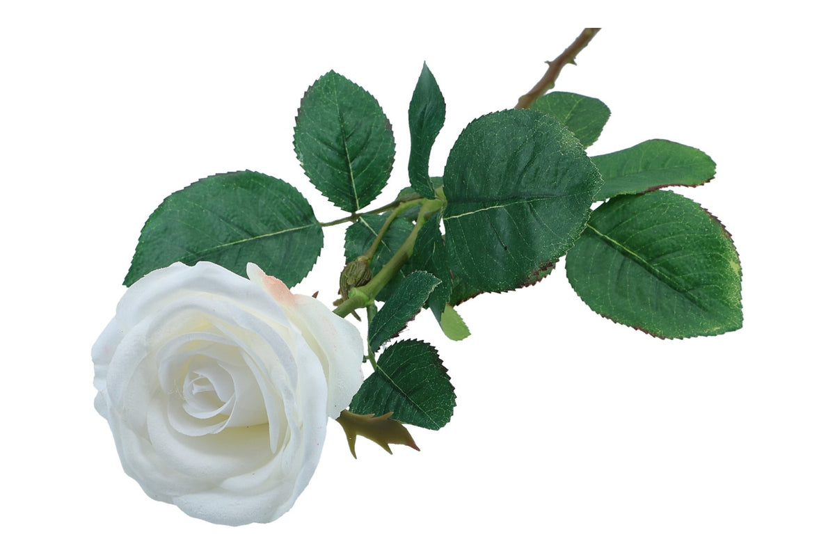 Rose, Stiellänge 95cm