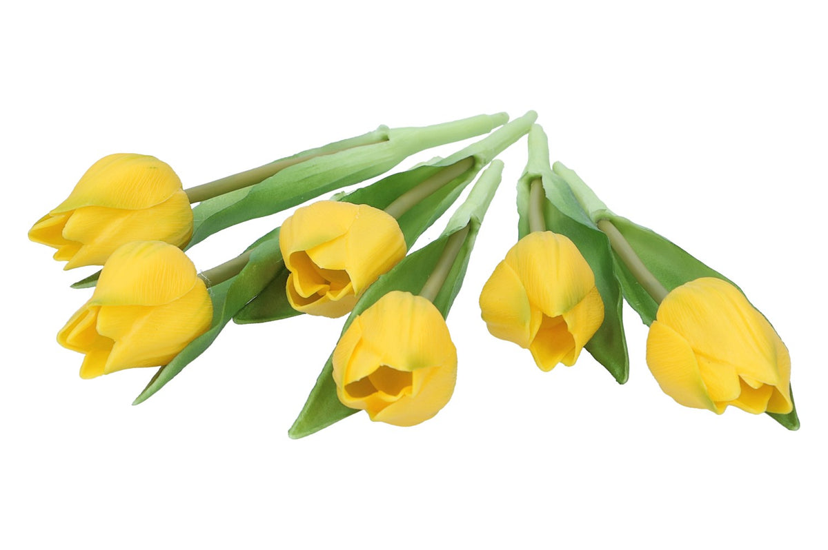 Tulpen 20cm, 1 Pack. = 6 Tulpen