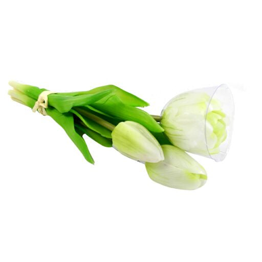 Tulpenbund 25cm, 1 Bund = 4 Tulpen