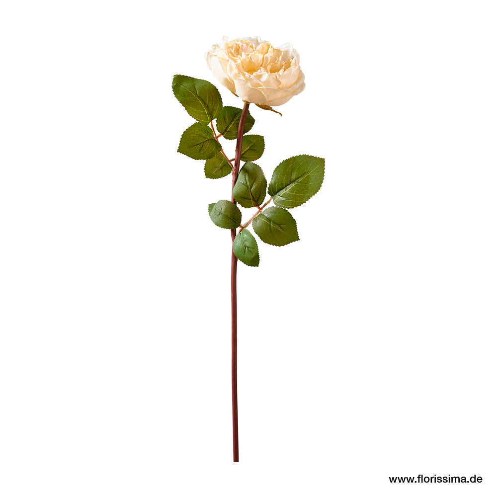 Rose mit Blättern L51cm, Ve. 1 Stk
