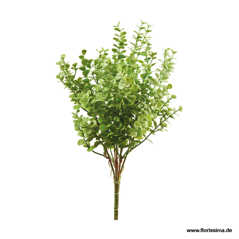 Eukalypthus Pick L38cm, Ve. 1 Stk