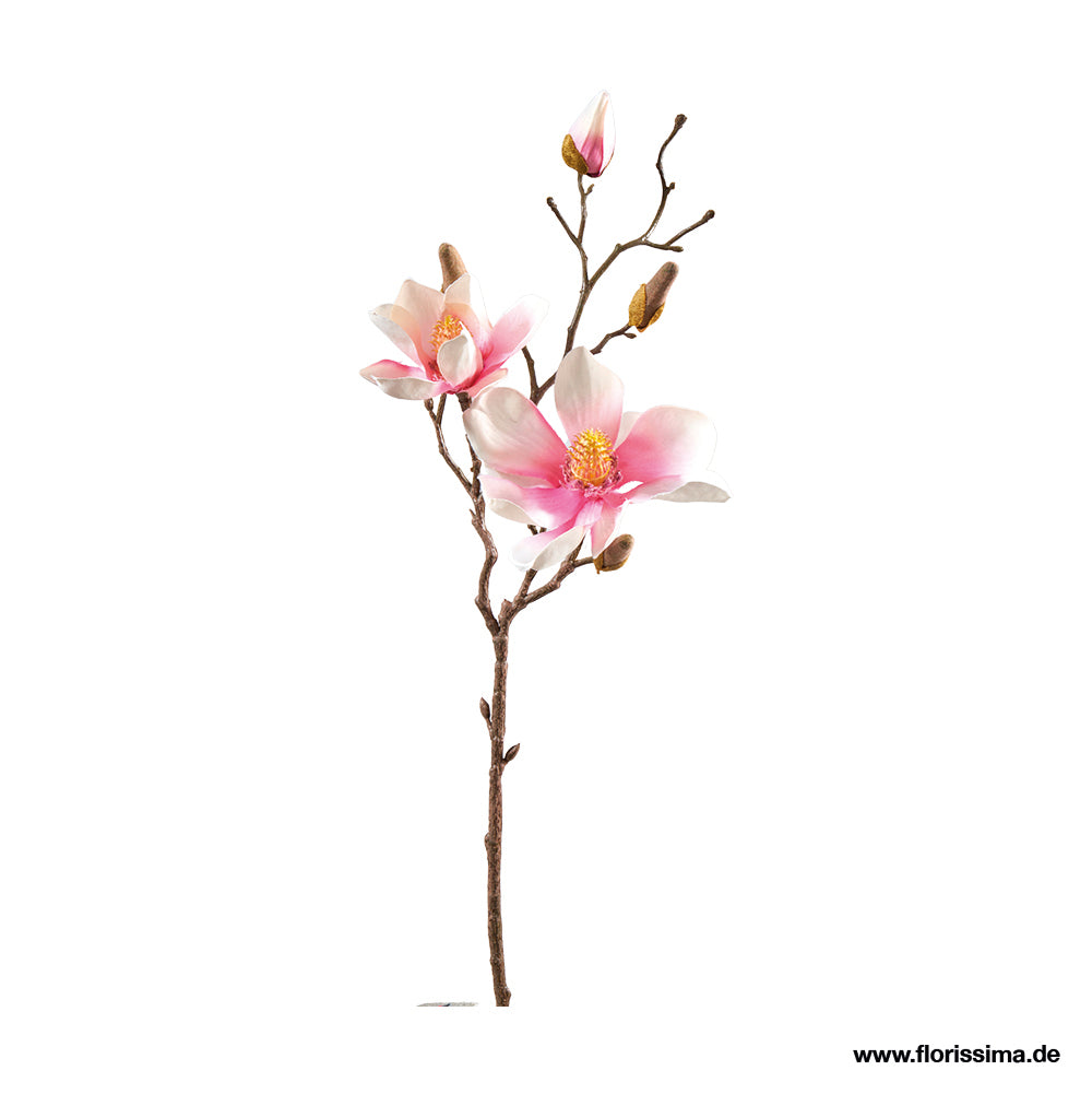Magnolie mit 4 Knospen, L50cm, Ve. 1 Stk