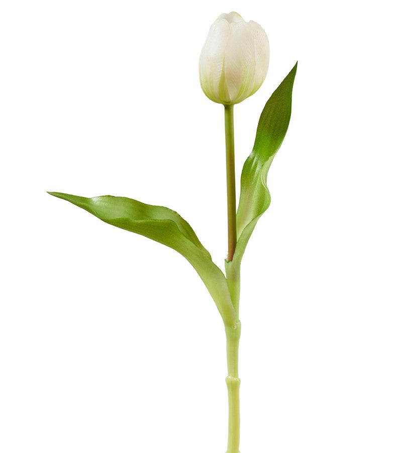 Tulpe 29cm, Ve. 4 Stk im Beutel