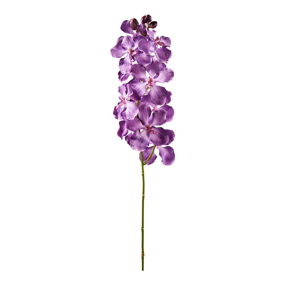 Orchidee, purple, L79cm, Ve. 1 Stk