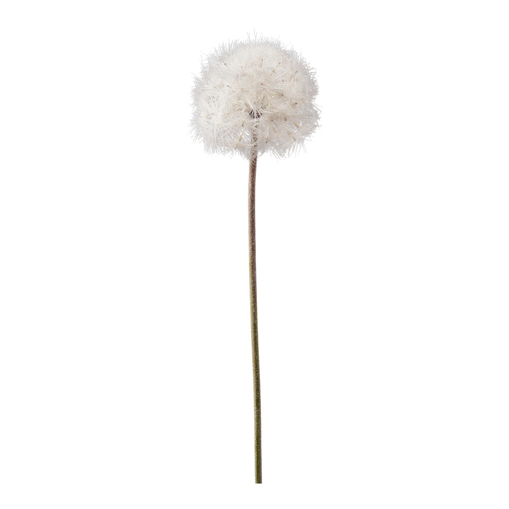 Dandelion Zweig L66cm, Ve. 1 Stk