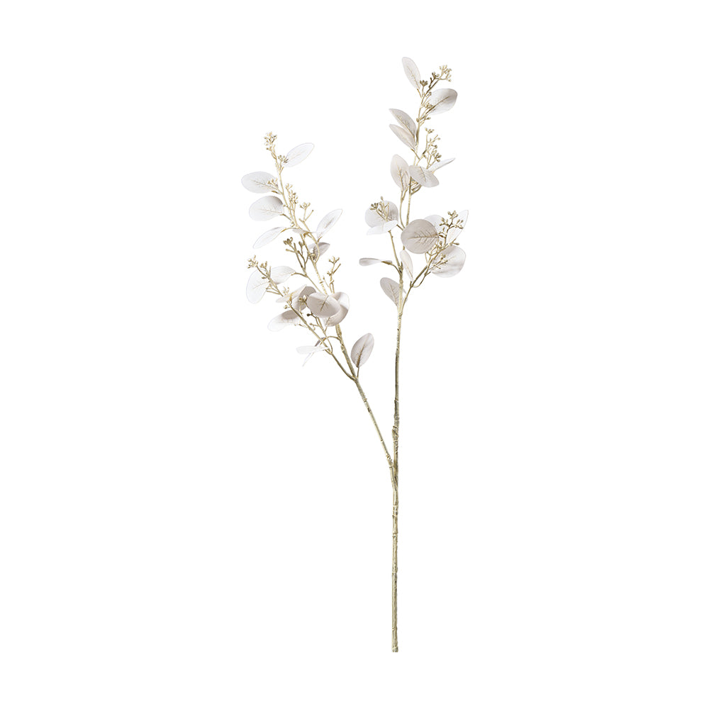 Eukalypthus Zweig L86cm, Ve. 1 Stk