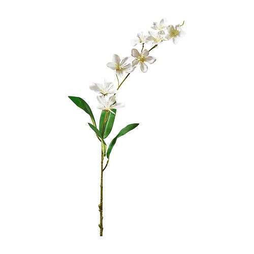 Jasmin Zweig L78cm, Ve. 1 Stk