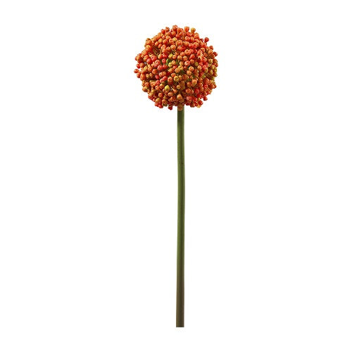 Allium D10,5cm L54cm, Ve. 1 Stk