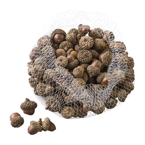 Eicheln im Netz, Ve. 1 Netz = 300g