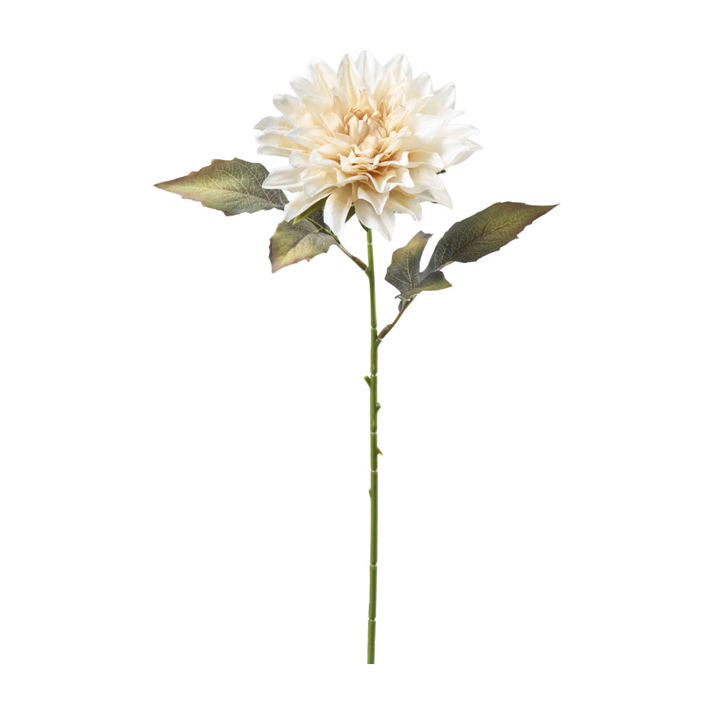 Dahlie Zweig L45cm, Ve. 1 Bund = 6 Stk