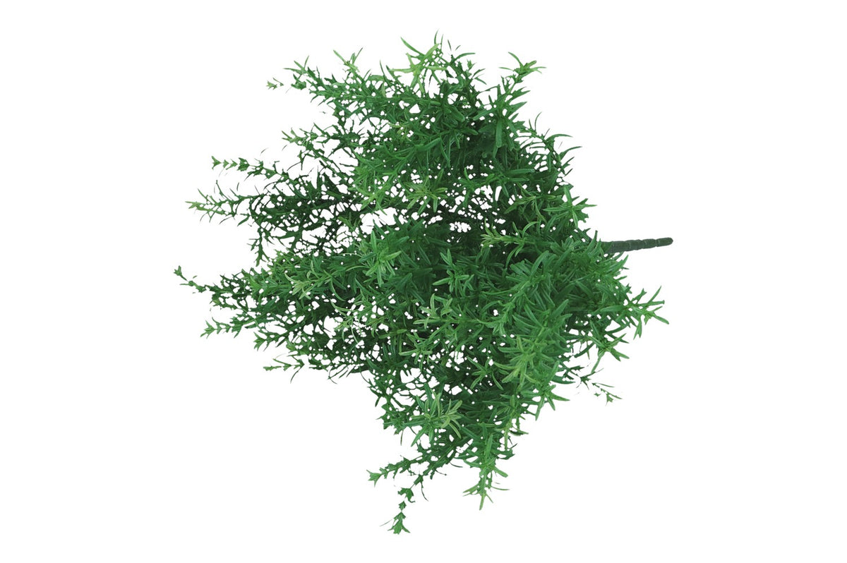 Asparagus Busch L38cm, grün, Ve. 1 Stk