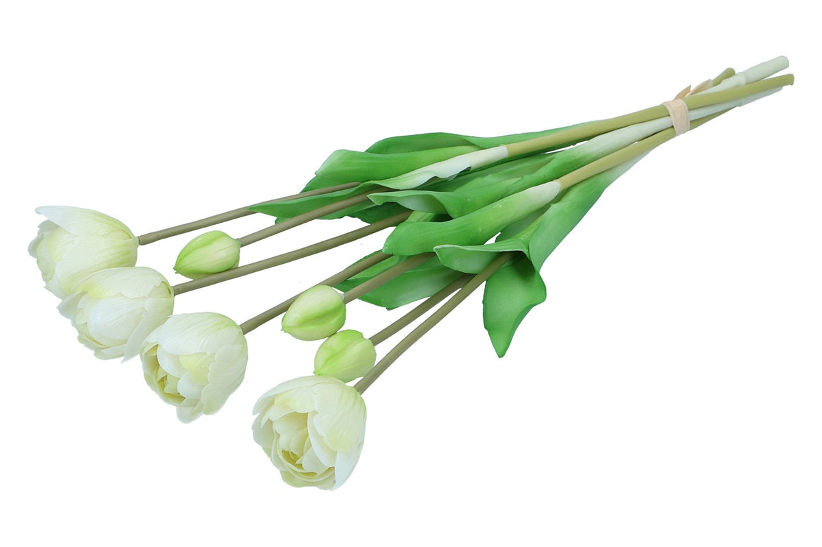 Tulpen im Bund 44cm, Ve. 1 Bund = 7 Stk