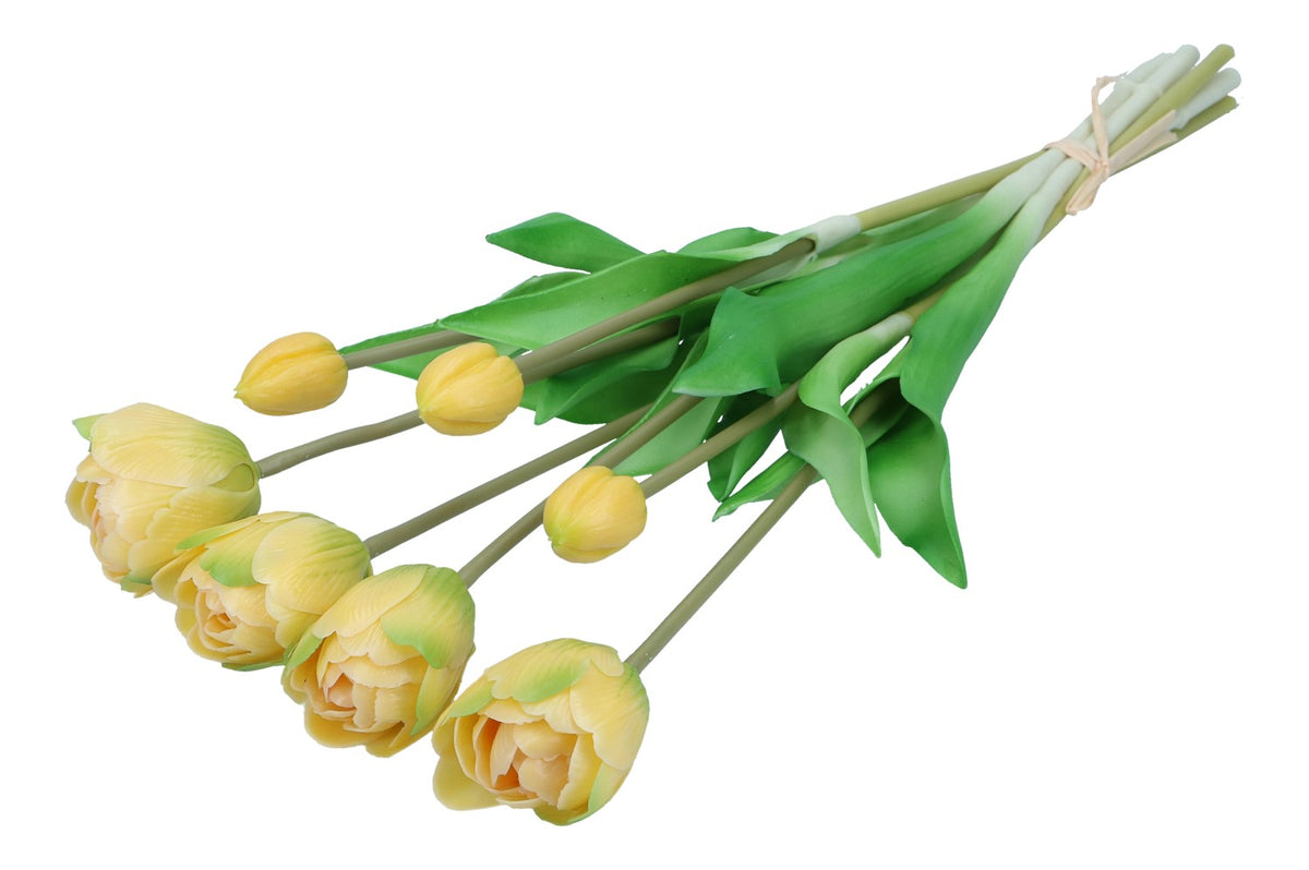 Tulpen im Bund 44cm, Ve. 1 Bund = 7 Stk