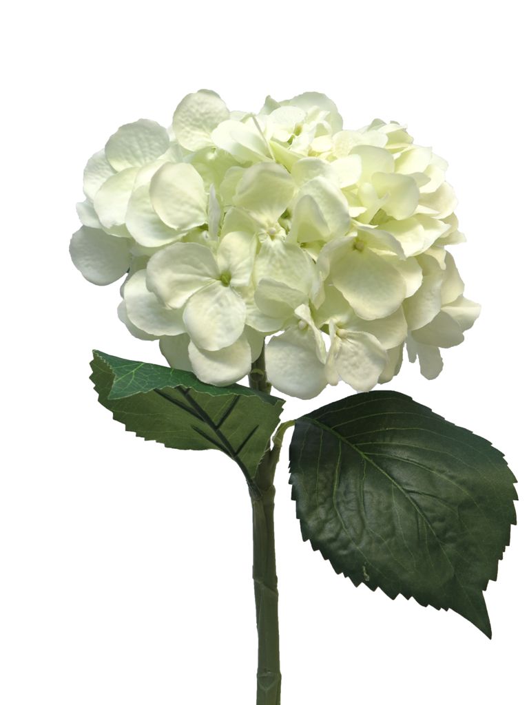 Hydrangea Artist L48cm, Ve. 1 Stk