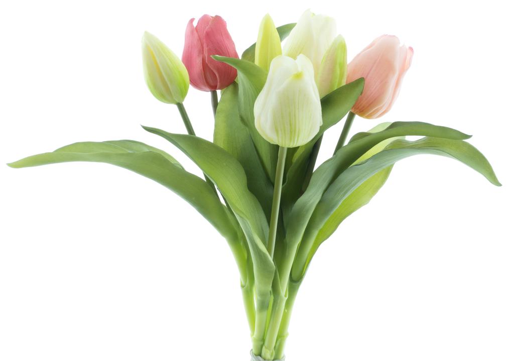 Farblich gemischtes Tulpenbündel, 31cm