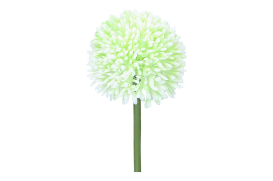 Allium Länge 44cm, 1 Stück