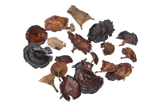 Mushroom Lacq Mix, lackiert