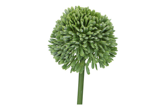 Allium 44cm, grün, 1 Stück