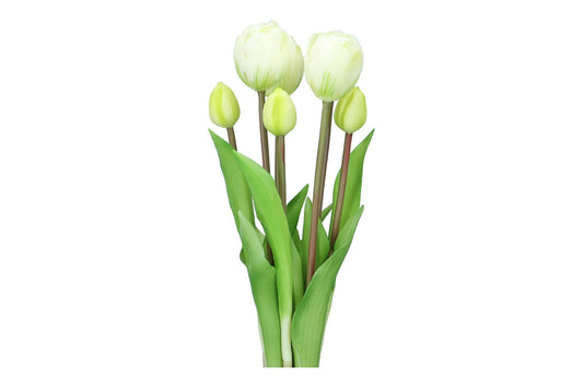 Tulpenbund 44cm, 1 Bund = 7  Tulpen
