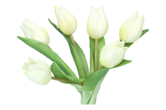 Tulpen Länge 20cm, 1 Pack = 6 Tulpen