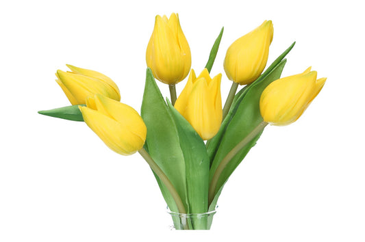 Tulpen 20cm, 1 Pack. = 6 Tulpen