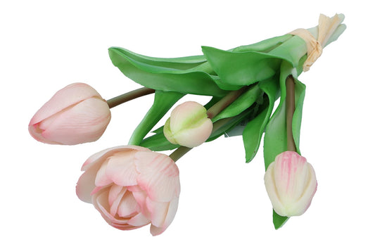 Tulpenpick im Bund L25cm, 1 Bund = 4 Stk