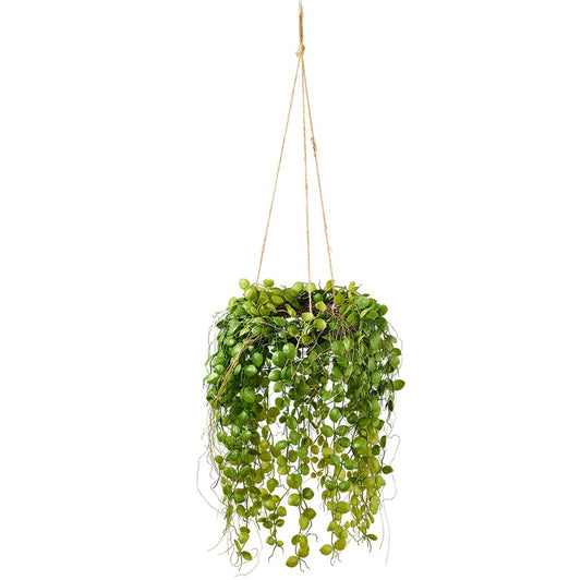 Pflanze im Kranz zum Hängen D25L50cm