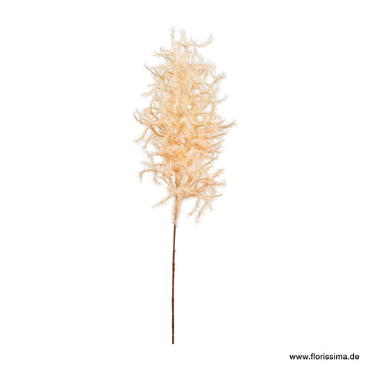 Cotinus Zweig L80cm, Ve. 1 Stück