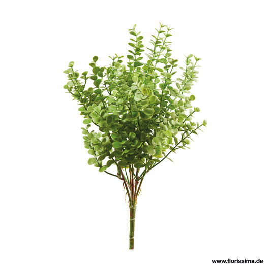 Eukalypthus Pick L38cm, Ve. 1 Stk