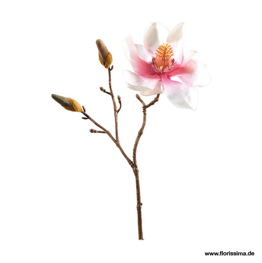 Magnolile mit 2 Knospen L27cm, Ve. 1 Stk