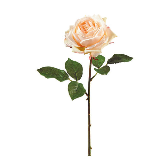 Rose L38cm, Ve. 1 Stk