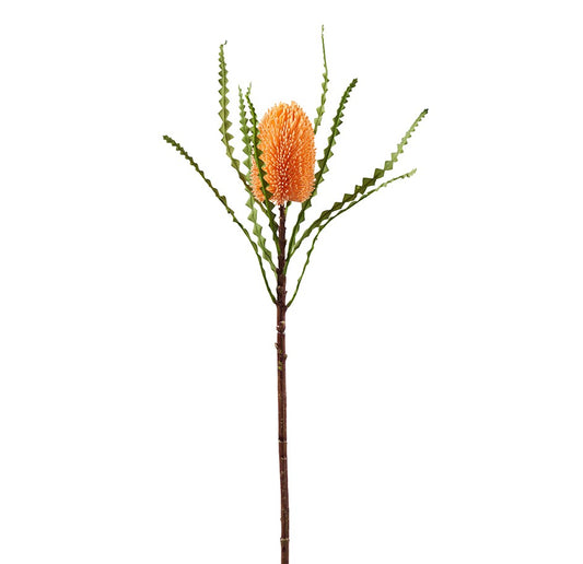 Banksia Zweig L78cm, Ve. 1 Stk