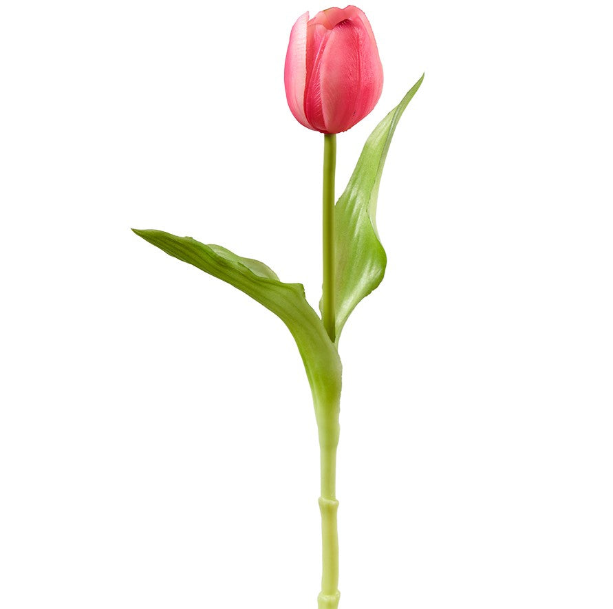 Tulpe 29cm, Ve. 4 Stk im Beutel