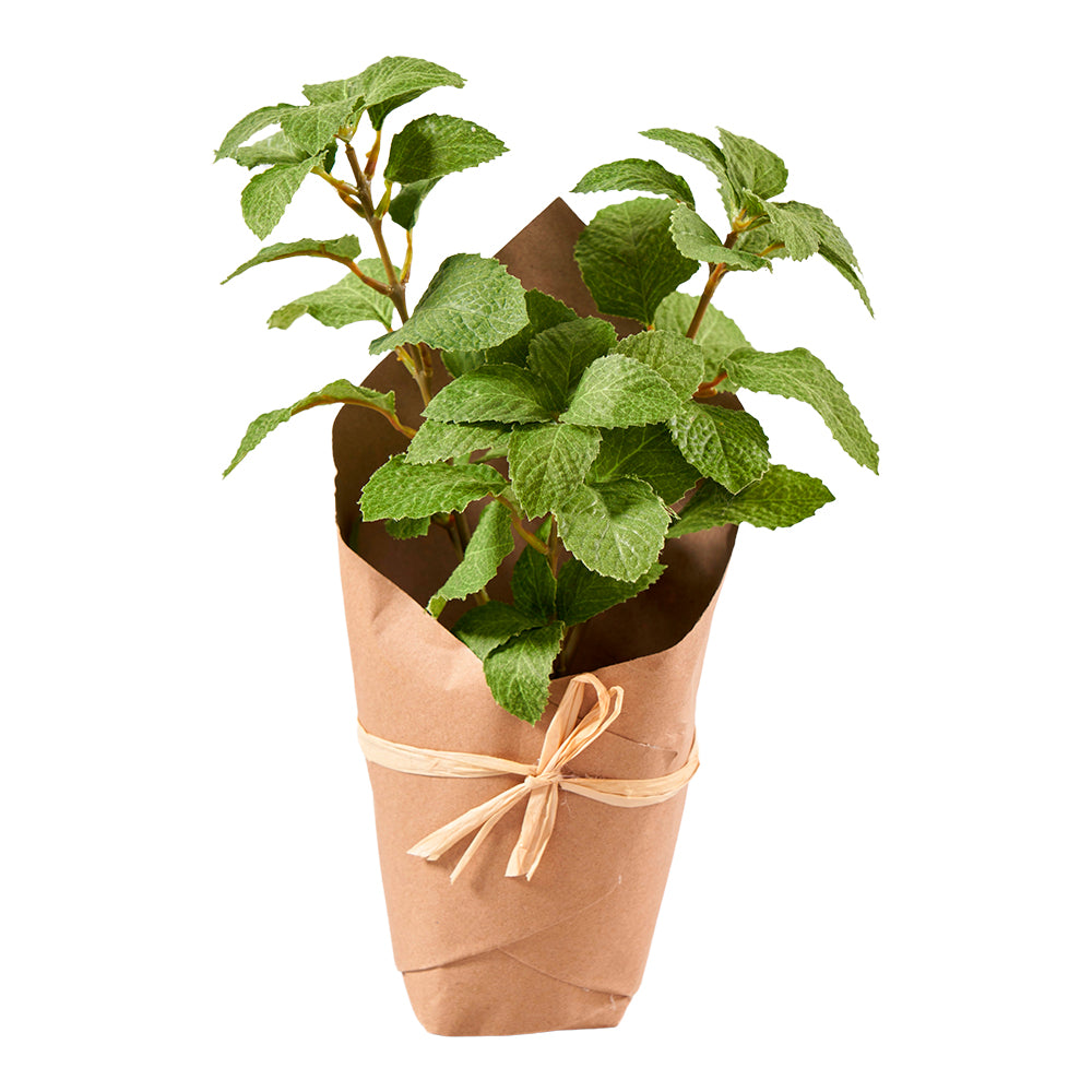 Minze Blätter in Paper Pot H41cm, grün