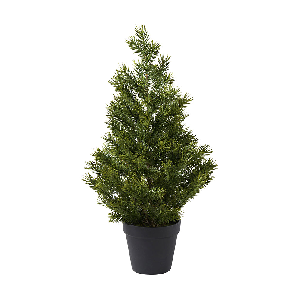 Tanne in Plastik Topf, grün, H54cm