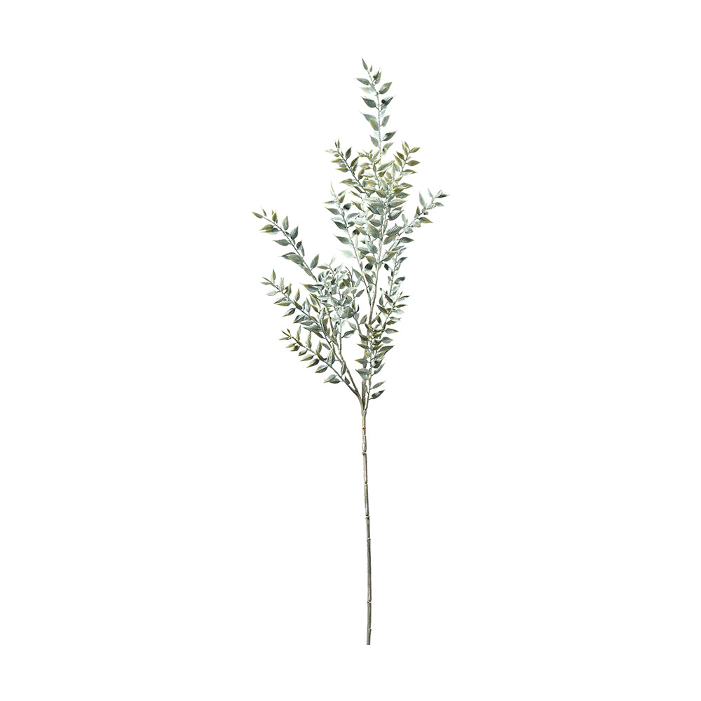 Ruscus Zweig grau / grün, L94cm