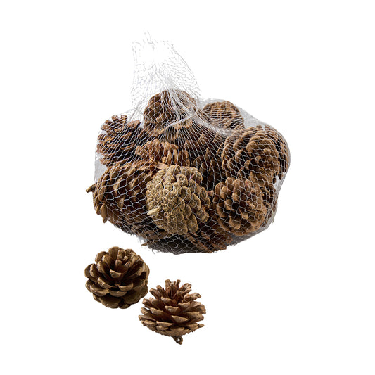 Zapfen im Netz, Ve. 300gr.