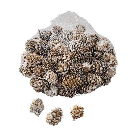Larix Pine cone im Netz, D3cm, Ve. 1 Stk