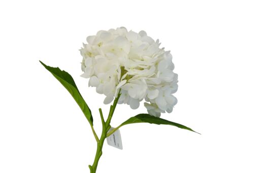 Hortensie Pick 51cm, Ve. 1 Stk