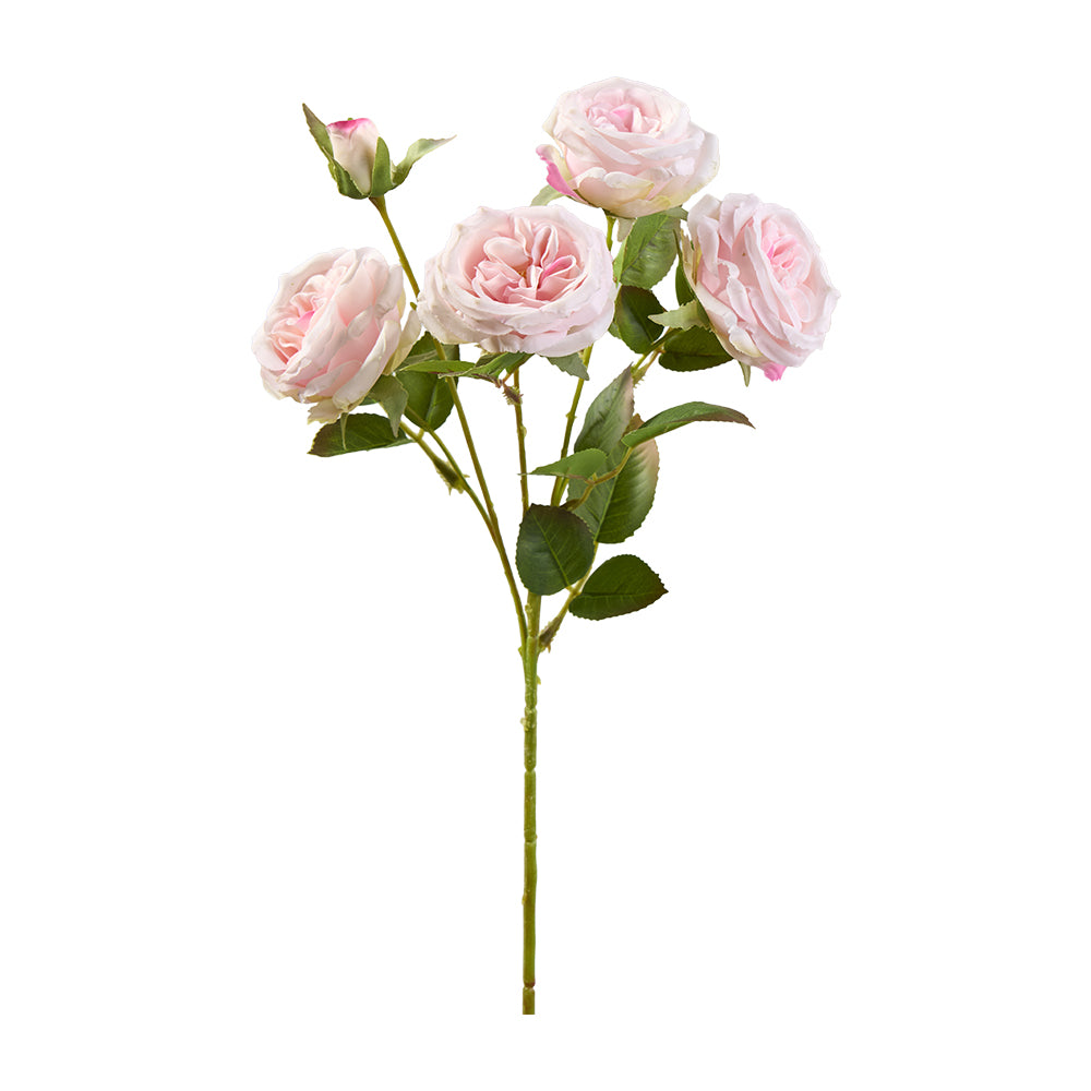 Rose x5 Pick 43cm, Ve. 1