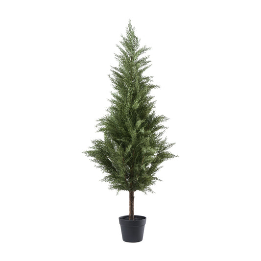 Zeder Baum in Plastik Topf H122cm