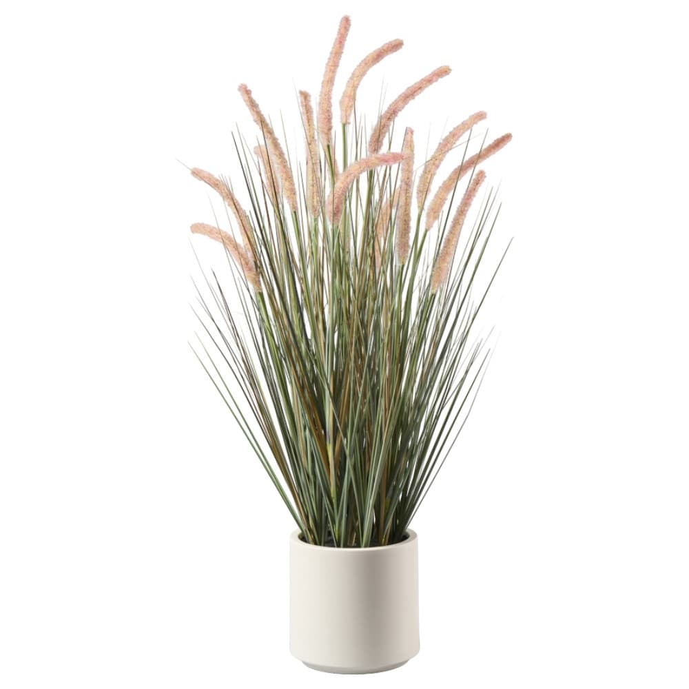 Cattail x15 mit Grass im Topf, H93cm
