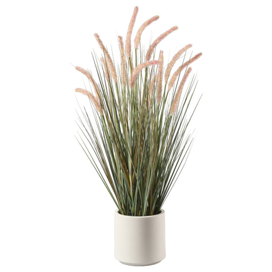 Cattail x15 mit Grass im Topf, H93cm