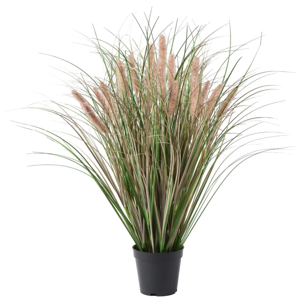 Cattail x19 mit Grass im Topf, H66cm