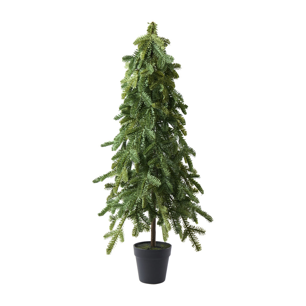 Tanne Noble Pine in Topf, H92cm