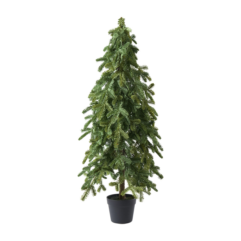 Tanne Noble Pine in Topf, H107cm