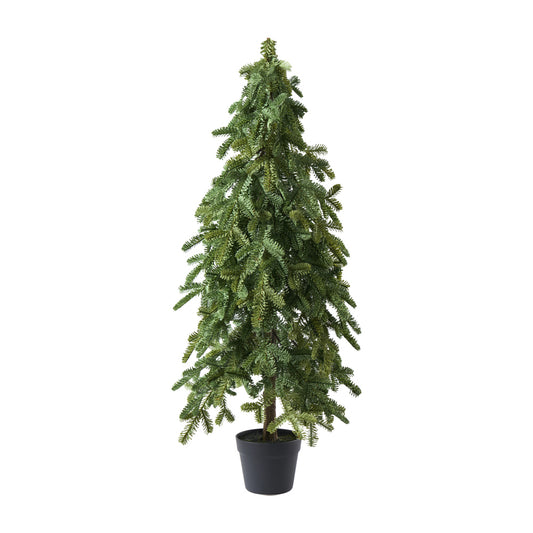 Tanne Noble Pine in Topf, H107cm